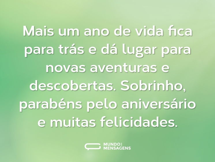 Mais um ano de vida fica para trás e dá lugar para novas aventuras e descobertas. Sobrinho, parabéns pelo aniversário e muitas felicidades.