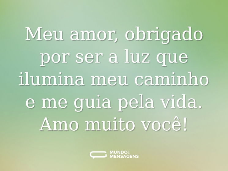 Meu amor, obrigado por ser a luz que ilumina meu caminho e me guia pela vida. Amo muito você!