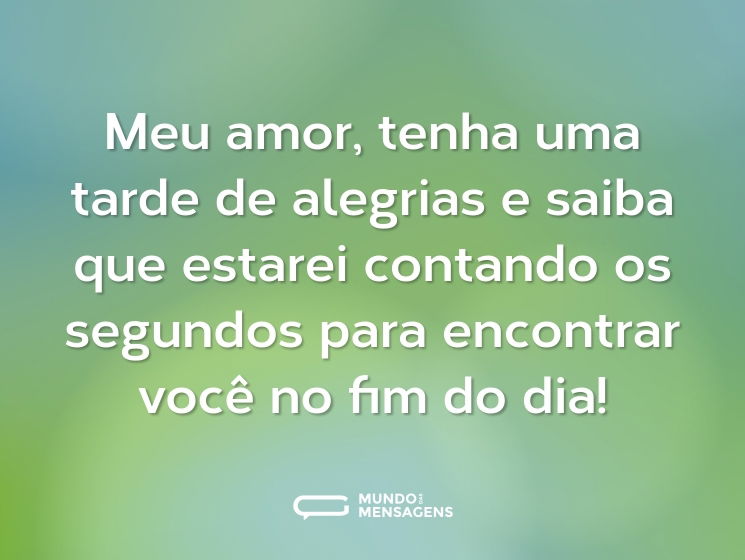 Meu amor, tenha uma tarde de alegrias e saiba que estarei contando os segundos para encontrar você no fim do dia!