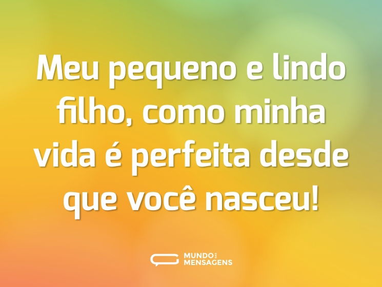 Meu pequeno e lindo filho, como minha vida é perfeita desde que você nasceu!