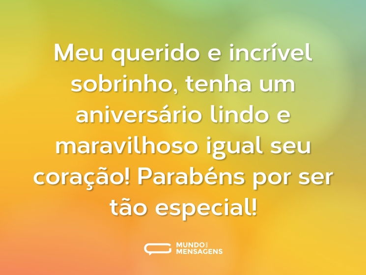 Meu querido e incrível sobrinho, tenha um aniversário lindo e maravilhoso igual seu coração! Parabéns por ser tão especial!