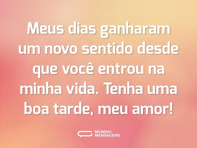 Meus dias ganharam um novo sentido desde que você entrou na minha vida. Tenha uma boa tarde, meu amor!