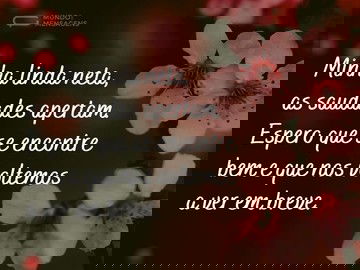 Minha linda neta, as saudades apertam