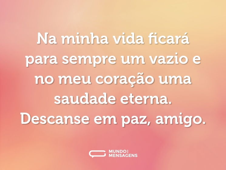 Na minha vida ficará para sempre um vazio e no meu coração uma saudade eterna. Descanse em paz, amigo.