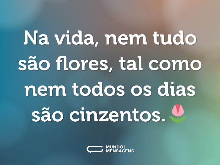 Na vida, nem tudo são flores, tal como nem todos os dias são cinzentos.🌷