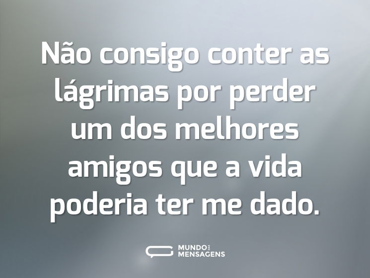 Não consigo conter as lágrimas por perder um dos melhores amigos que a vida poderia ter me dado.