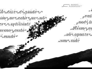 Pequenos gestos para ajudar o próximo