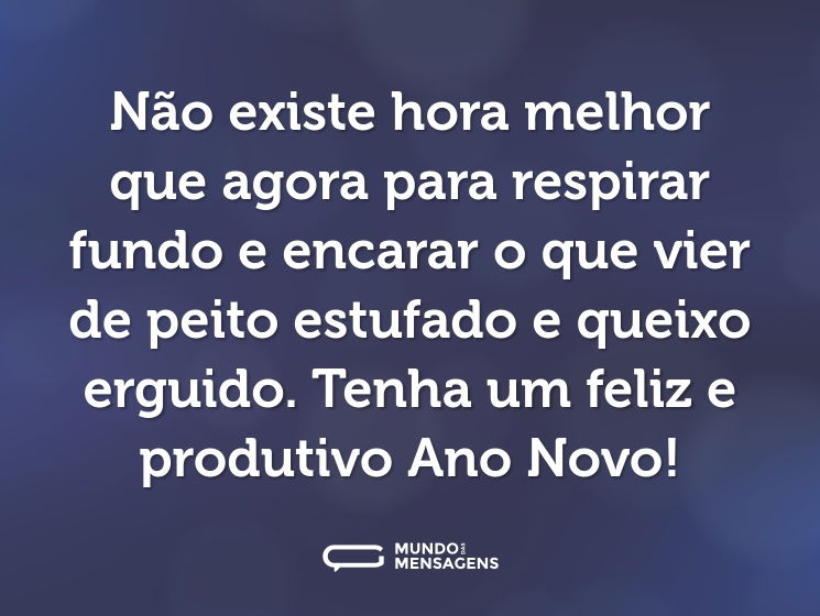 Não existe hora melhor que agora para respirar fundo e encarar o que vier de peito estufado e queixo erguido. Tenha um feliz e produtivo Ano Novo!