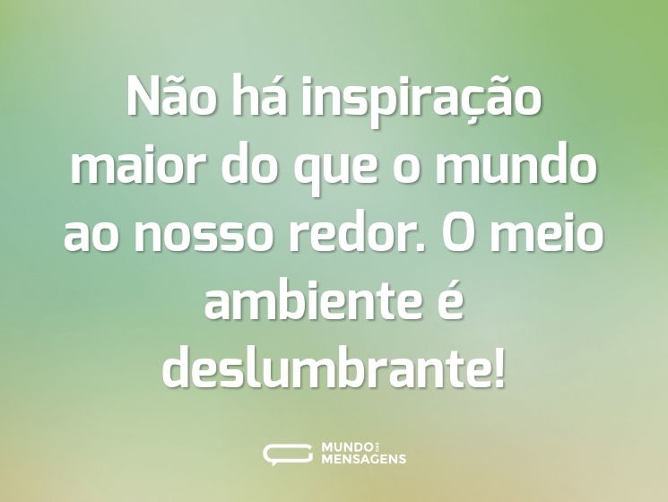 Não há inspiração maior do que o mundo ao nosso redor. O meio ambiente é deslumbrante!