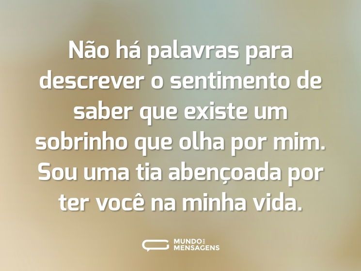Não há palavras para descrever o sentimento de saber que existe um sobrinho que olha por mim. Sou uma tia abençoada por ter você na minha vida.