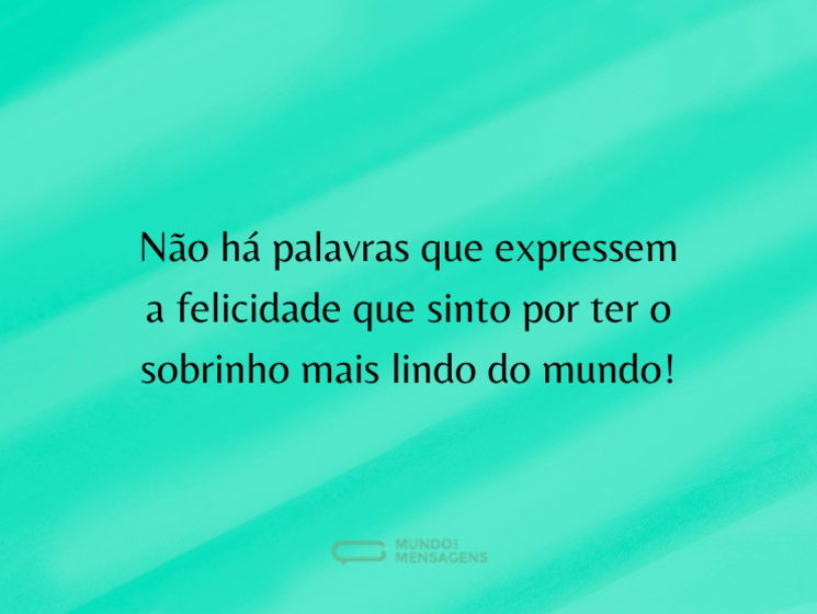 O sobrinho mais lindo do mundo