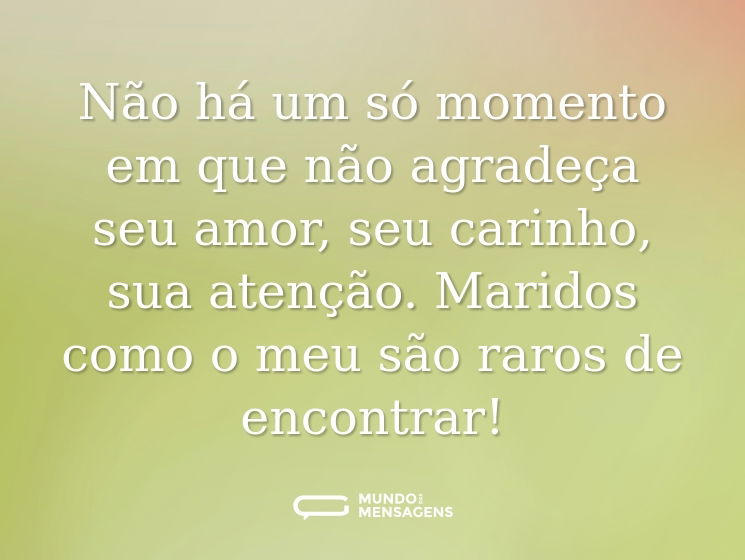 Não há um só momento em que não agradeça seu amor, seu carinho, sua atenção. Maridos como o meu são raros de encontrar!