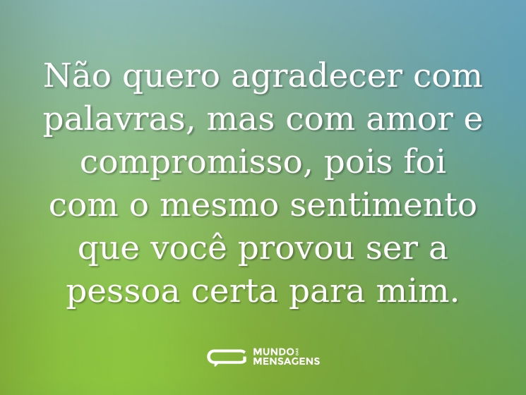 Não quero agradecer com palavras, mas com amor e compromisso, pois foi com o mesmo sentimento que você provou ser a pessoa certa para mim.