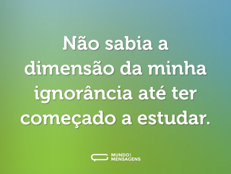 Não sabia a dimensão da minha ignorância até ter começado a estudar.