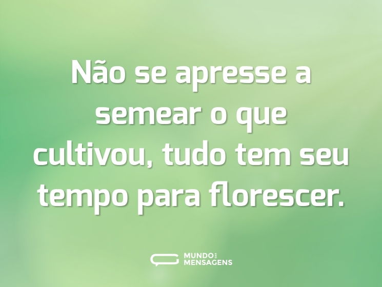Não se apresse a semear o que cultivou, tudo tem seu tempo para florescer.