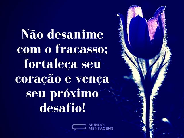 Fracasso e Fortalecimento