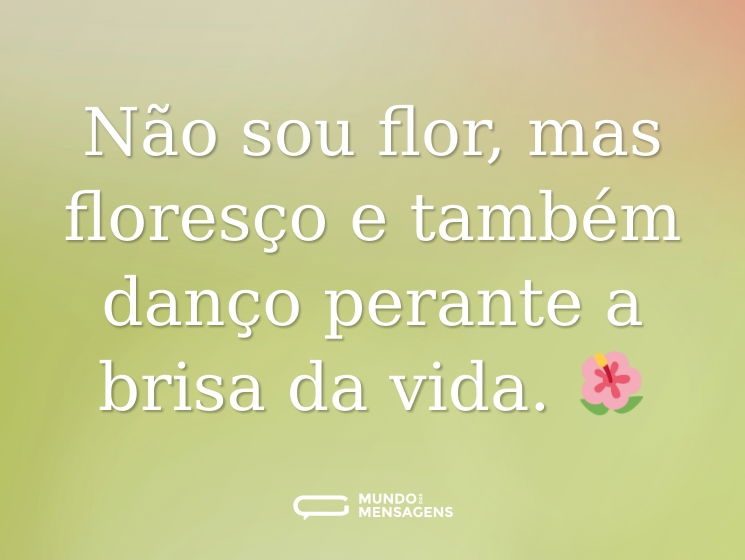 Não sou flor, mas floresço e também danço perante a brisa da vida. 🌺