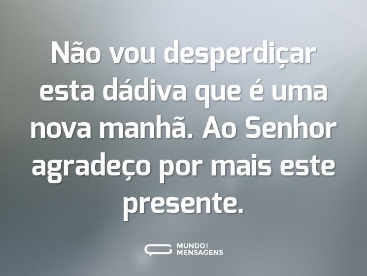 Não vou desperdiçar esta dádiva que é uma nova manhã. Ao Senhor agradeço por mais este presente.