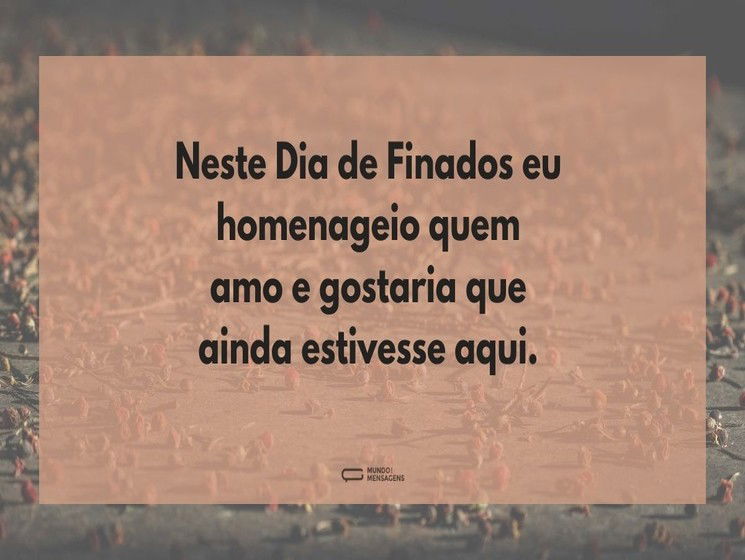 Neste Dia de Finados eu homenageio quem amo e gostaria que ainda estivesse aqui.