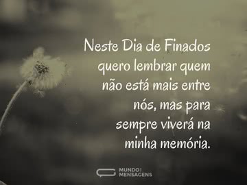 Mensagens para o Dia de Finados - Mundo das Mensagens