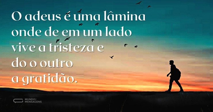 O adeus, a tristeza e a gratidão - Mundo das Mensagens