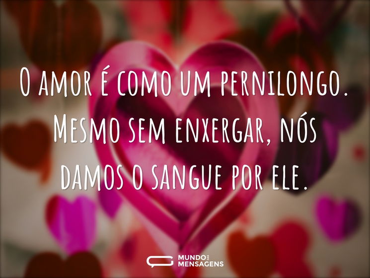 O amor é como um pernilongo. Mesmo sem enxergar, nós damos o sangue por ele.