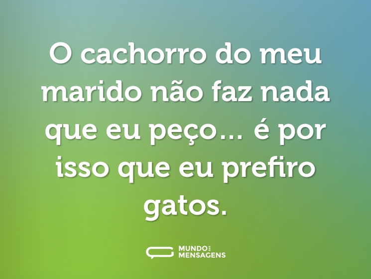 O cachorro do meu marido não faz nada que eu peço… é por isso que eu prefiro gatos.