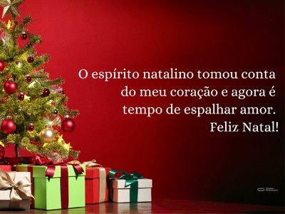 O espírito natalino tomou conta do meu coração e agora é tempo de espalhar amor. Feliz Natal!