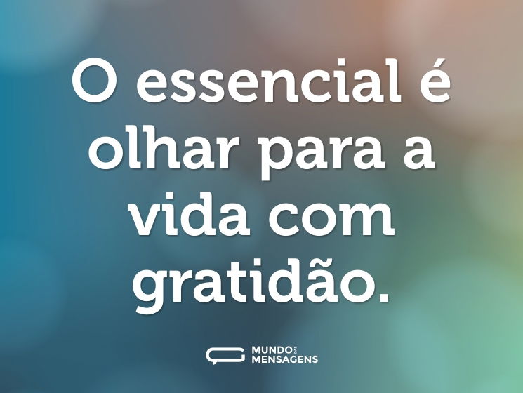 O essencial é olhar para a vida com gratidão.