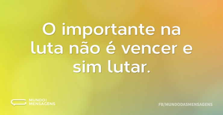O importante na luta não é vencer e sim ...
