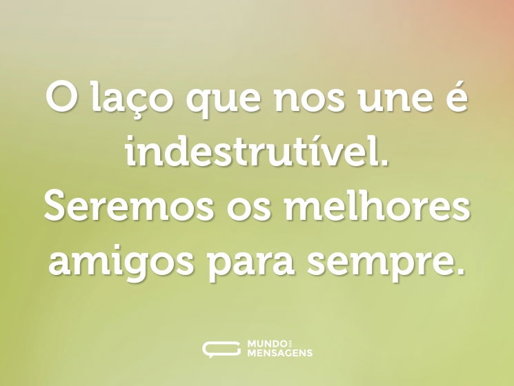 O laço que nos une é indestrutível. Seremos os melhores amigos para sempre.