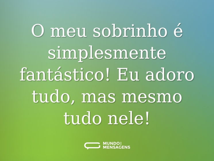 O meu sobrinho é simplesmente fantástico! Eu adoro tudo, mas mesmo tudo nele!