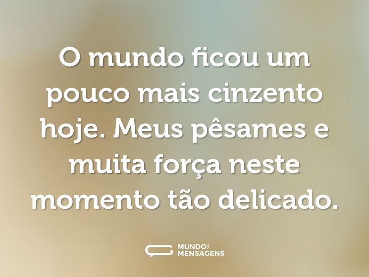 O mundo ficou um pouco mais cinzento hoje. Meus pêsames e muita força neste momento tão delicado.