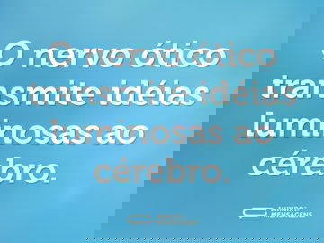 O nervo ótico transmite idéias luminosas ao cérebro.