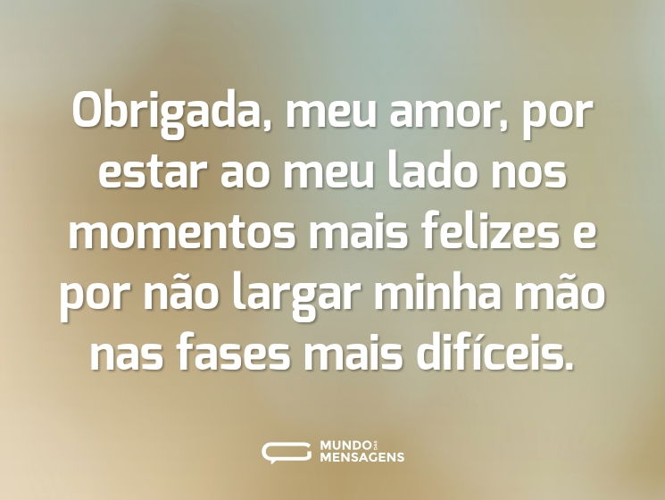 Obrigada, meu amor, por estar ao meu lado nos momentos mais felizes e por não largar minha mão nas fases mais difíceis.