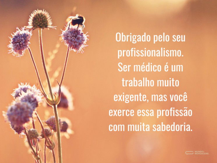 Um profissional de saúde exemplar