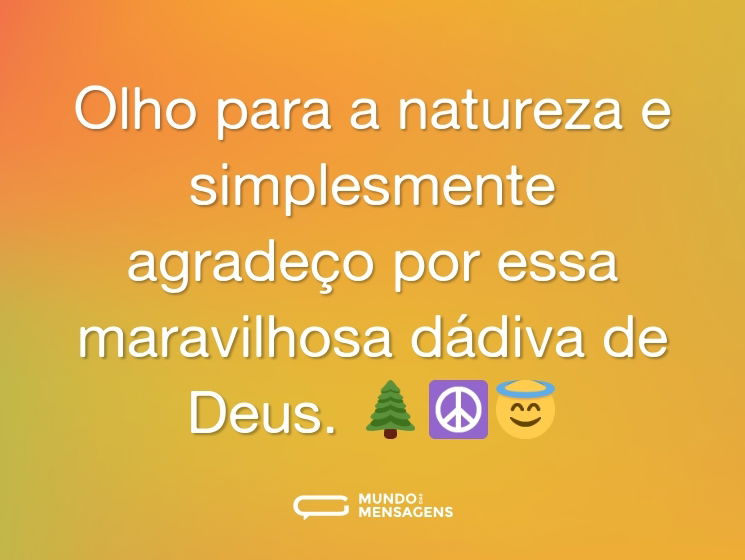 Olho para a natureza e simplesmente agradeço por essa maravilhosa dádiva de Deus. 🌲☮️😇