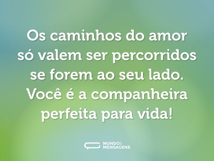Os caminhos do amor só valem ser percorridos se forem ao seu lado. Você é a companheira perfeita para vida!