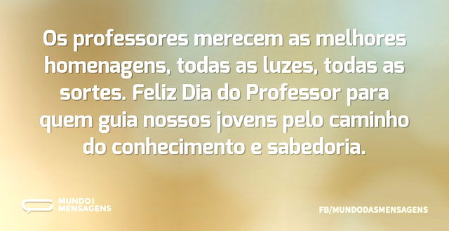 Professores que nos guiam