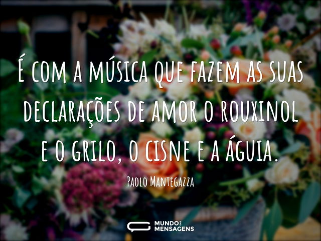 É com a música que fazem as suas declara...