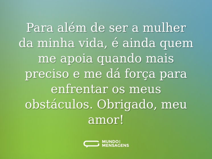 Para além de ser a mulher da minha vida, é ainda quem me apoia quando mais preciso e me dá força para enfrentar os meus obstáculos. Obrigado, meu amor!