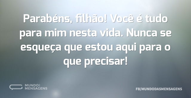 Parabéns, filhão! Você é tudo para mim n...