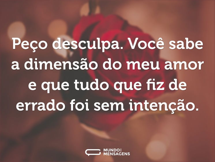 Peço desculpa. Você sabe a dimensão do meu amor e que tudo que fiz de errado foi sem intenção.