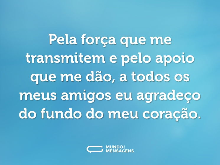 Pela força que me transmitem e pelo apoio que me dão, a todos os meus amigos eu agradeço do fundo do meu coração.