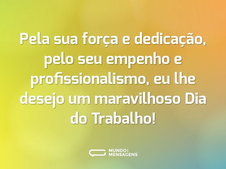 Pela sua força e dedicação, pelo seu empenho e profissionalismo, eu lhe desejo um maravilhoso Dia do Trabalho!