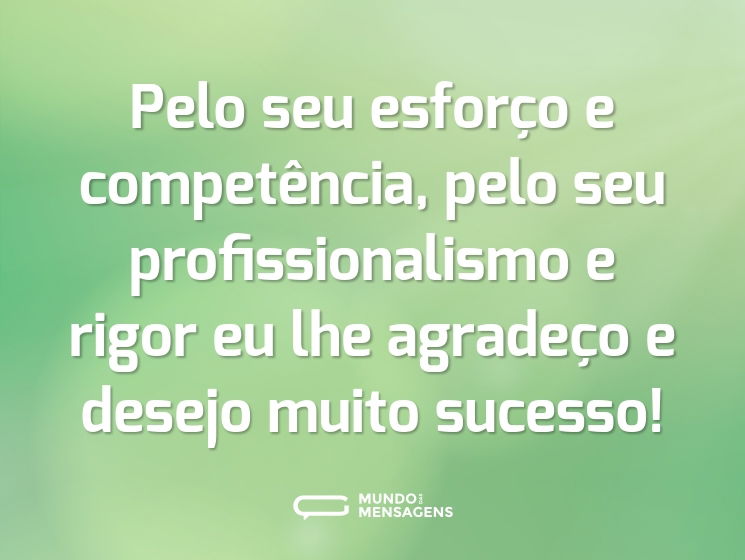 Pelo seu esforço e competência, pelo seu profissionalismo e rigor eu lhe agradeço e desejo muito sucesso!