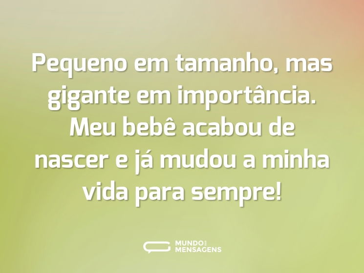 Pequeno em tamanho, mas gigante em importância. Meu bebê acabou de nascer e já mudou a minha vida para sempre!