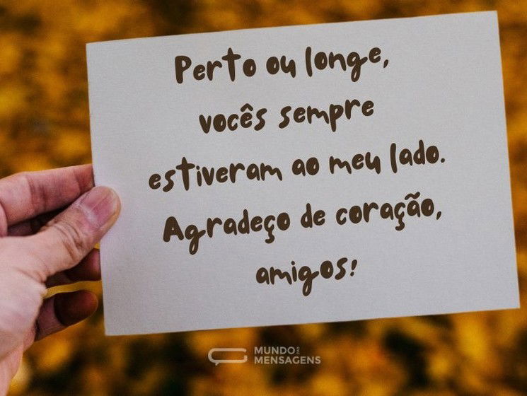 Perto ou longe, vocês sempre estiveram ao meu lado. Agradeço de coração, amigos!