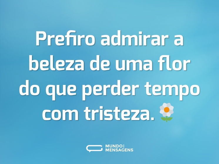 Prefiro admirar a beleza de uma flor do que perder tempo com tristeza.🌼
