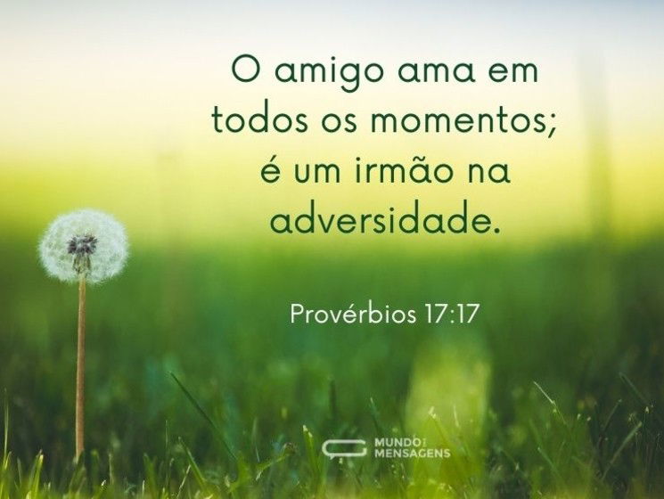 O amigo ama em todos os momentos;
é um irmão na adversidade.